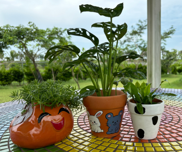 陶盆植栽體驗