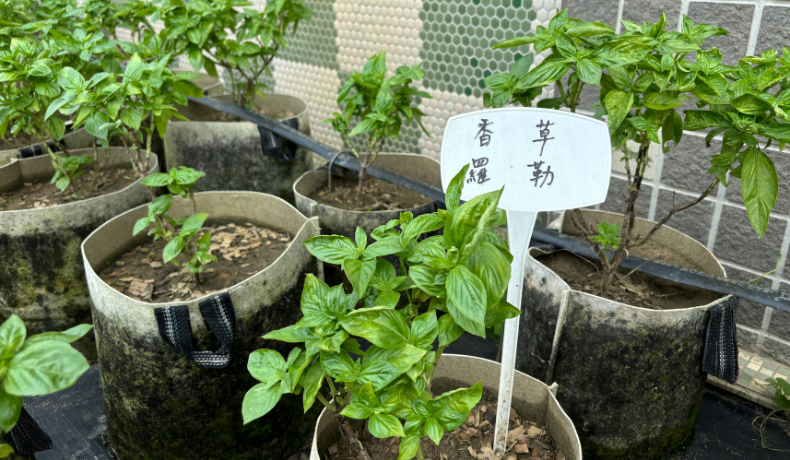 香料之路