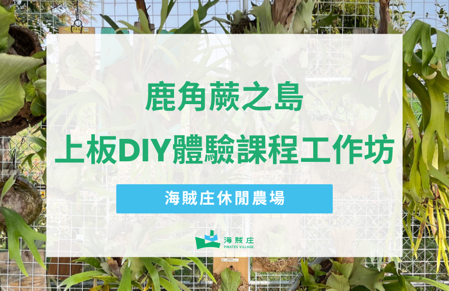 鹿角蕨之島上板DIY體驗-三月課程工作坊