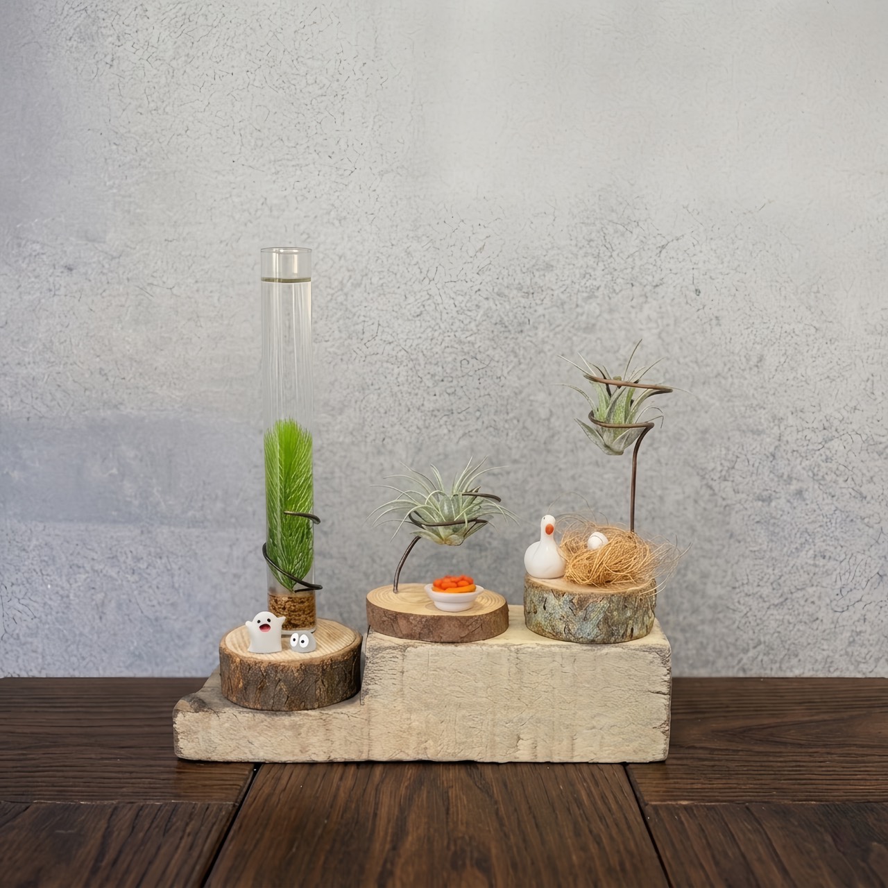 空氣鳳梨&水草瓶景觀盆栽