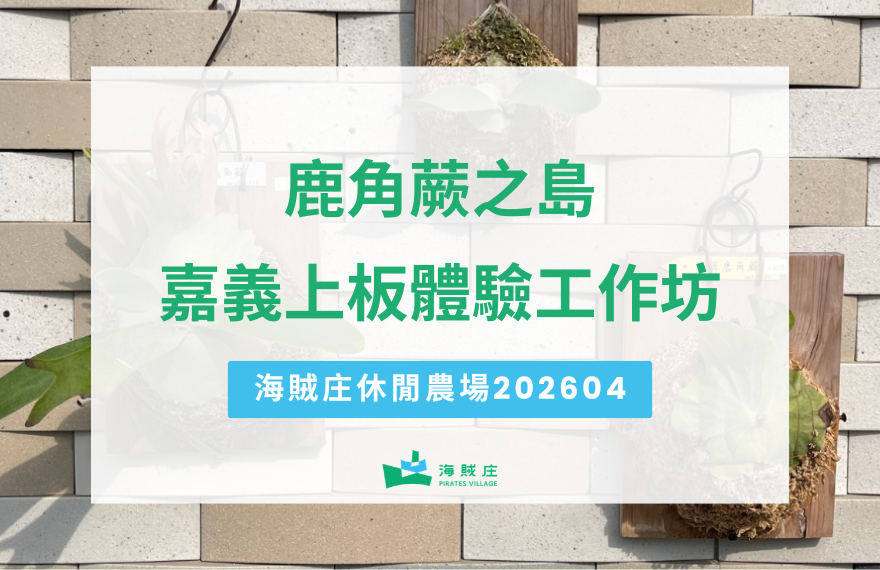 鹿角蕨之島上板DIY體驗-嘉義四月課程工作坊
