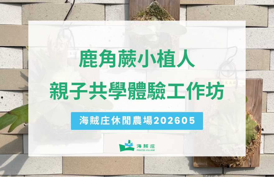 鹿角蕨上板小植人-親子共學工作坊