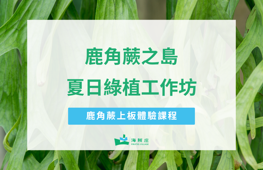 夏日綠植工作坊-鹿角蕨上板體驗課程